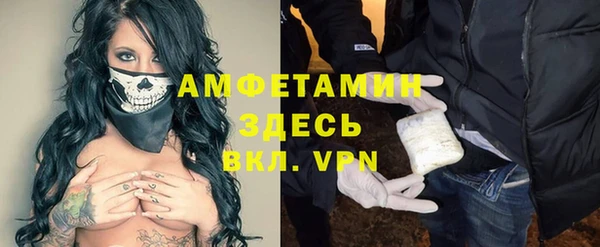 индика Коряжма
