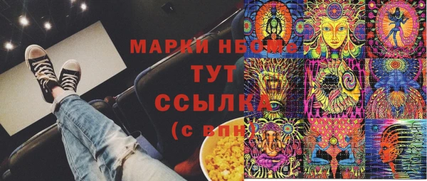 индика Коряжма