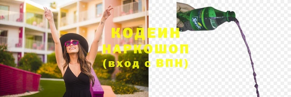 индика Коряжма