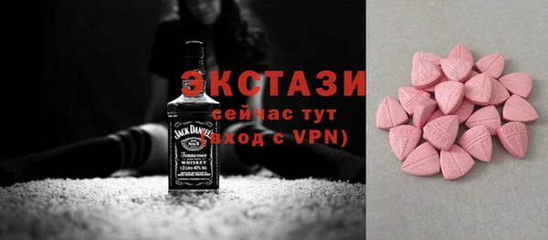 индика Коряжма