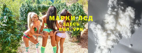 индика Коряжма