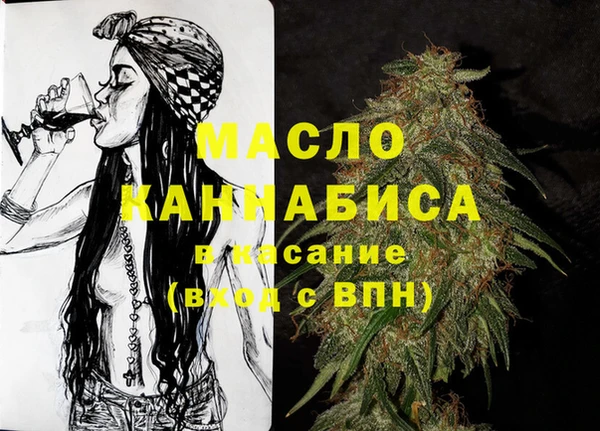 индика Коряжма