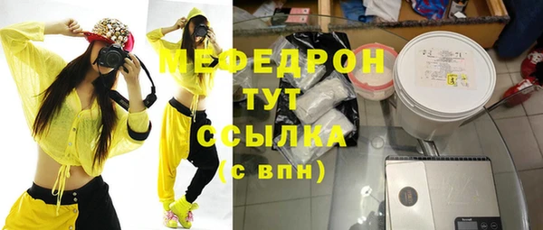 индика Коряжма