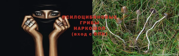 альфа пвп Костерёво