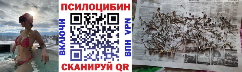 Купить где  Шарья  Псилоцибиновые грибы Magic Shrooms 